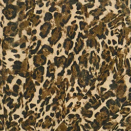 Robe Zeidi - Image 6