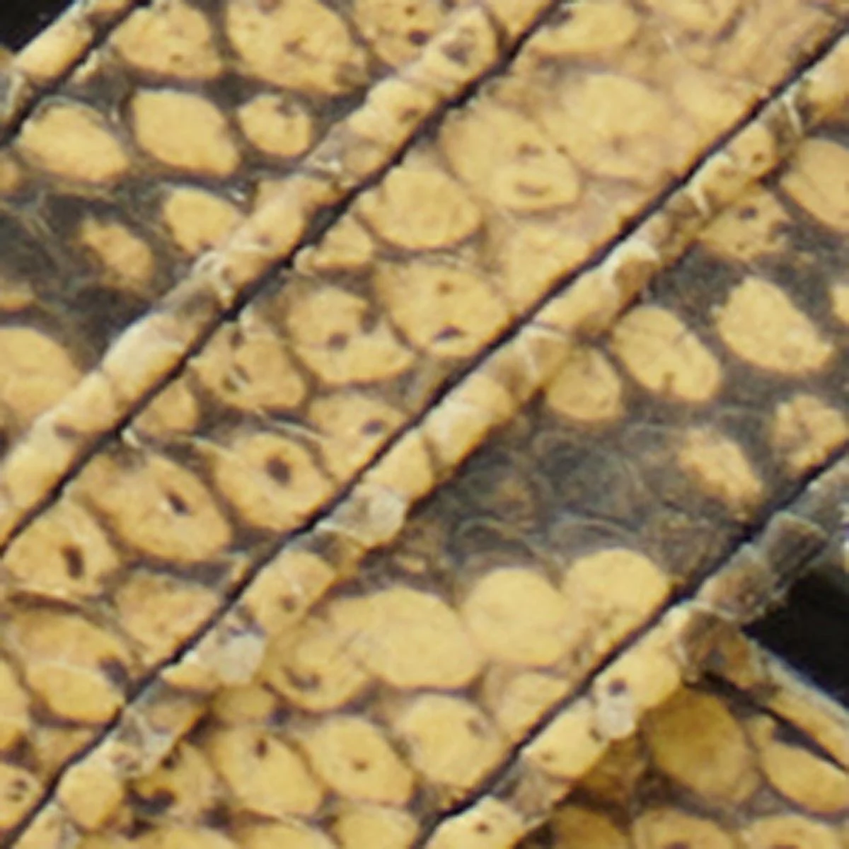 Sandales Nya - Image 5